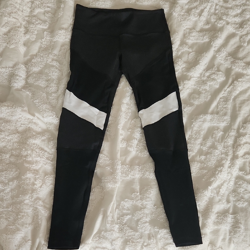 MIA Sheer Panel Leggungs